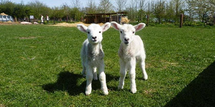 Church-Farm-Ardeley-Stevenage