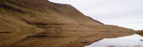 Days Out In Carmarthenshire