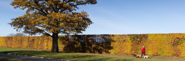 Days Out In Hertfordshire