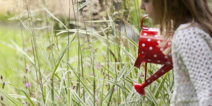 National-Trust-Somerset