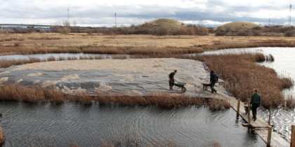 Tees Wildlife Trust Redcar