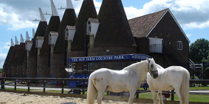 The-Hop-Farm-Family-Park-Tonbridge