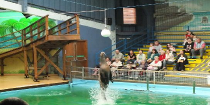 Blair Drummond Safari Prestwick