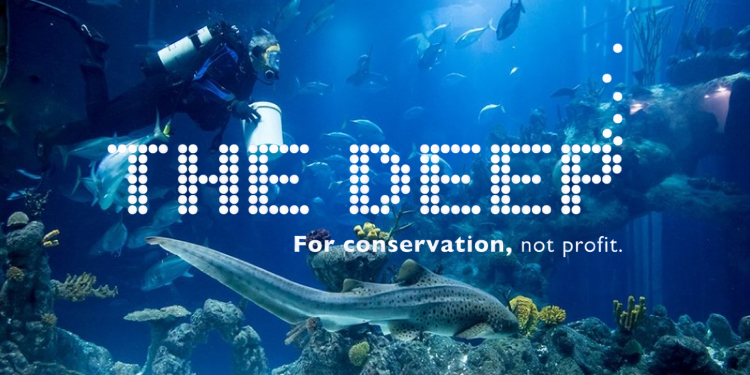 The Deep