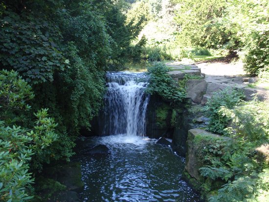 Jesmond Dene Waterfall