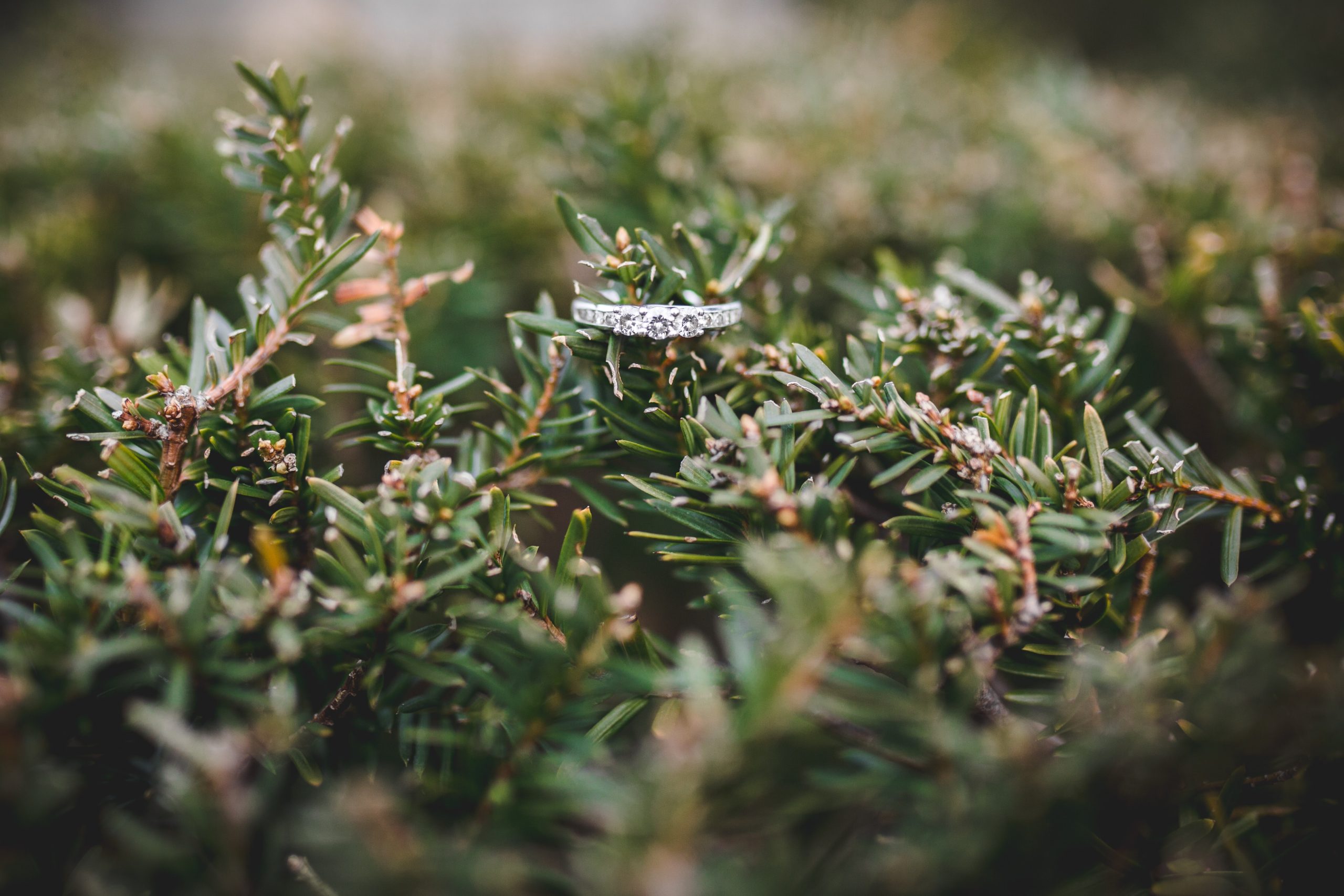Isaiah Bekkers Shmqi1r7tbi Unsplash