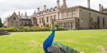 Newstead Abbey, Ravenshead