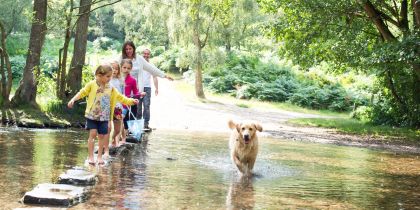 Cannock Chase, Cannock