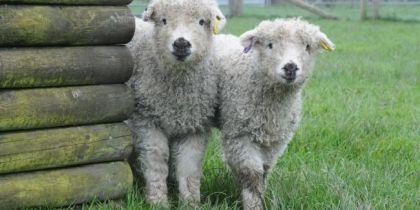 Odds Farm Park, High Wycombe