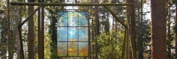 Days Out In The Forest Of Dean