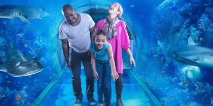 Sea Life Birmingham