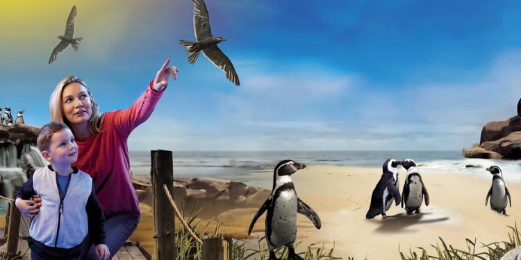 Sea Life Hunstanton Days Out In Norfolk