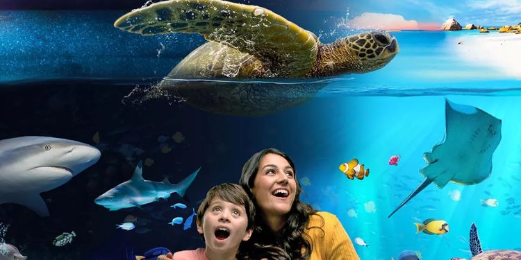 Sea Life Weymouth Days Out In Dorset