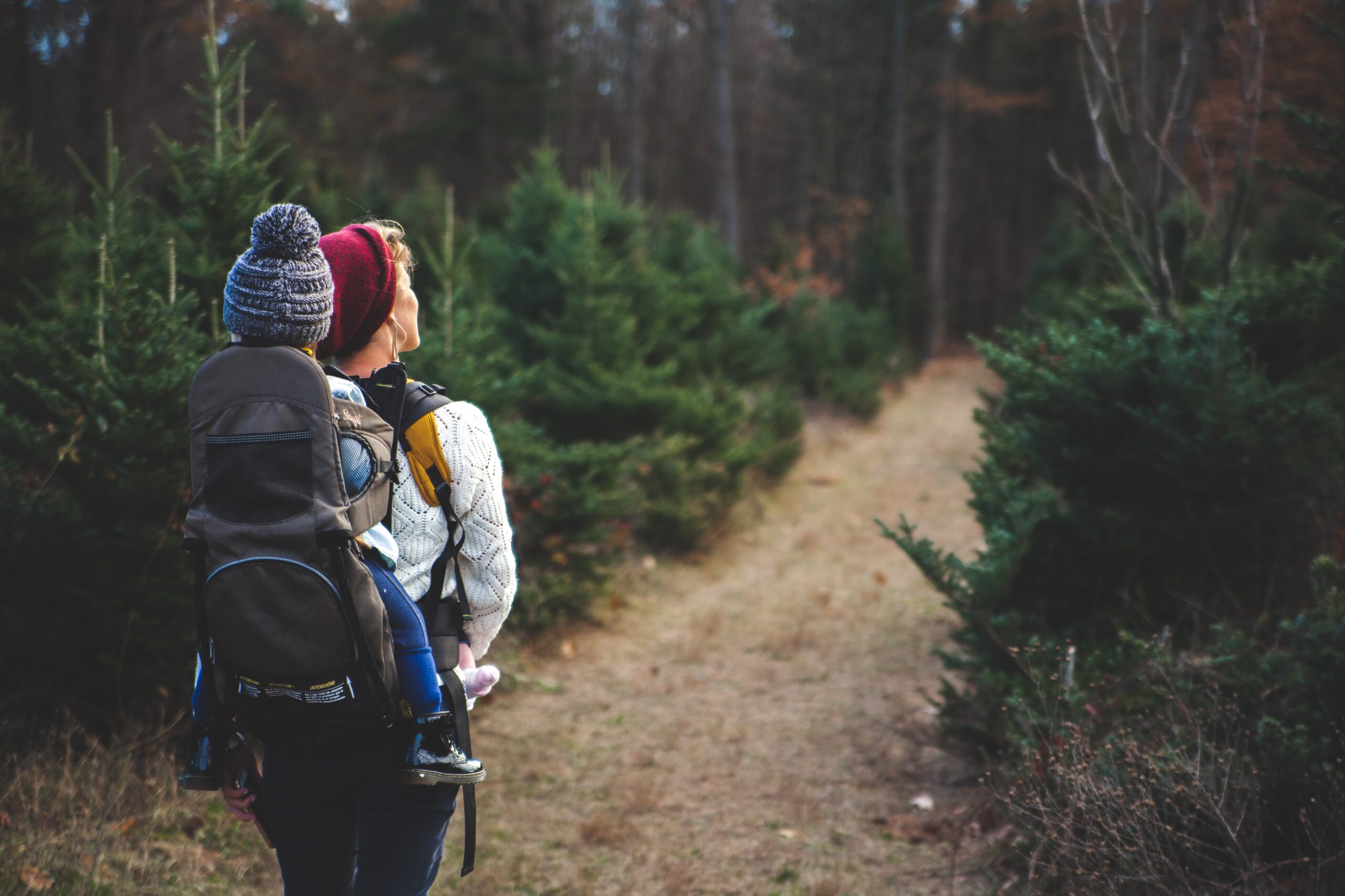 Family Hiking