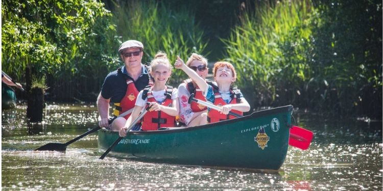 New Forest Activities