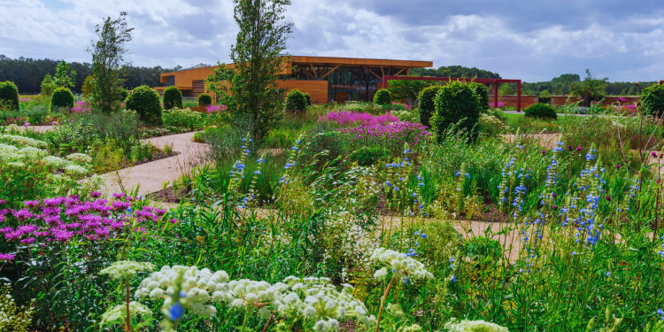 Days Out In North West England Rhs Gardens Bridgewater