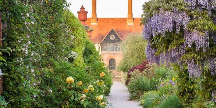 Days Out In South East England Rhs Gardens Wisely