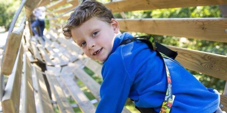 Go Ape Alice Holt Forest Days Out In Surrey