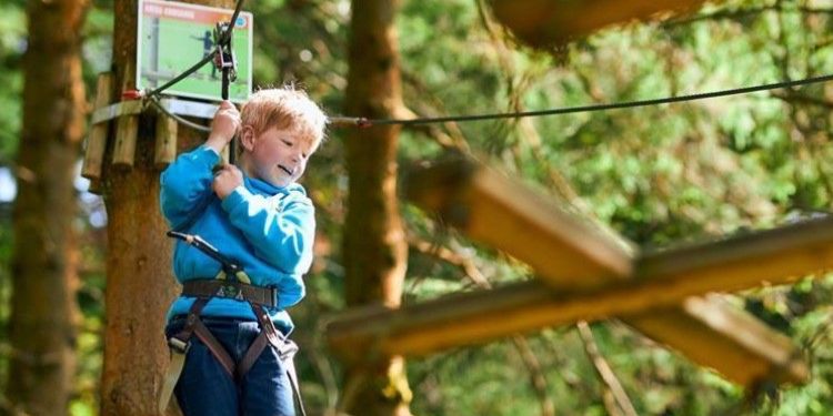 Go Ape Bedgebury Days Out In Kent