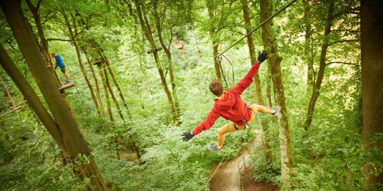 Go Ape Buxton Days Out In Derbyshire