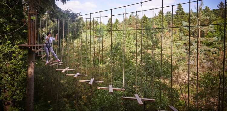 Go Ape Beechenhurst Days Out In Gloucestershire