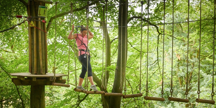 Go Ape Delamere Forest Days Out In Cheshire