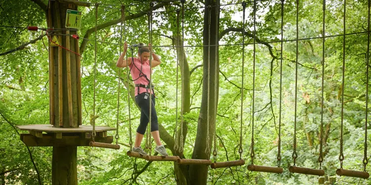 Go Ape Delamere Forest Days Out In Cheshire