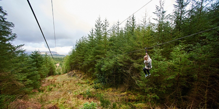 Go Ape Grizedale Forest Days Out In Cumbria 2