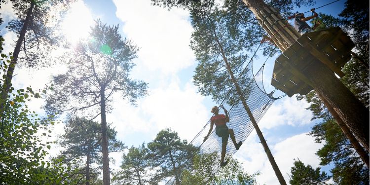 Go Ape Haldon Forest Days Out In Devon