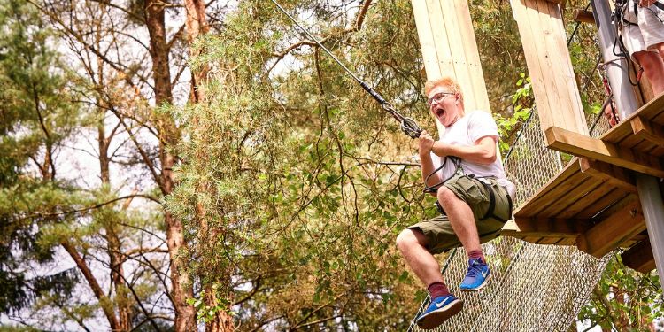 Go Ape Margam Park Days Out In Swansea Bay