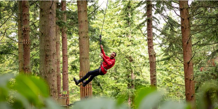 Go Ape Whinlatter Forest Days Out In Cumbria