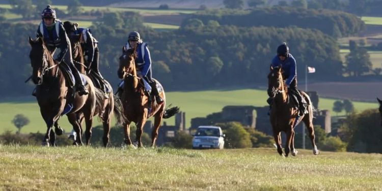 Middleham Racing Tours Days Out In Yorkshire