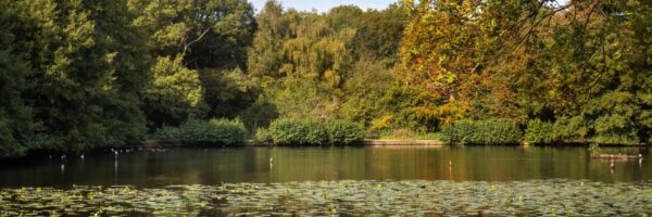 Things To Do In Wimbledon