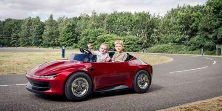 Firefly Driving Experience