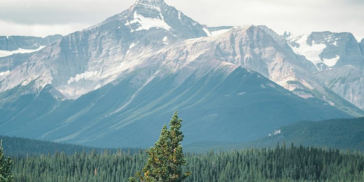 Family Friendly Adventures In The Canadian Rockies Some International Inspiration!