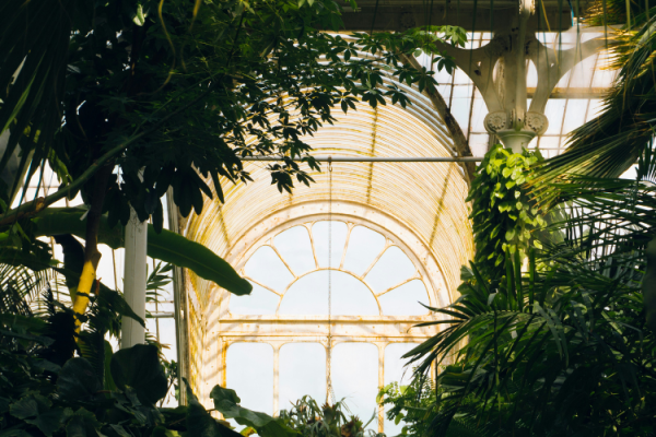 Top 10 Family Friendly Day Trips From London