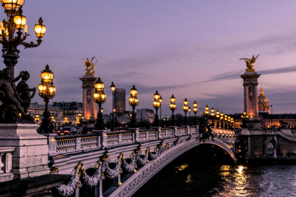 Exploring Paris And Disneyland With Ease The Ultimate Private Shuttle Experience
