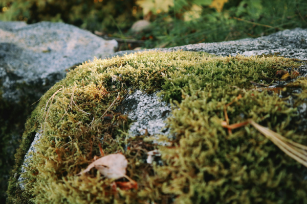 Geocaching With Your Family Is The Ultimate Modern Treasure Hunt