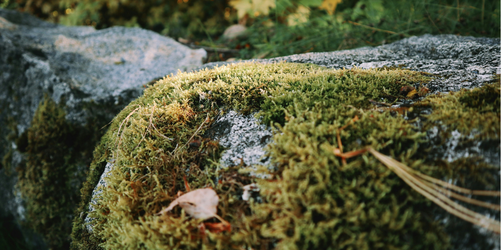 Geocaching With Your Family Is The Ultimate Modern Treasure Hunt