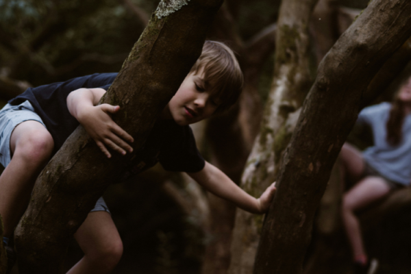 Planning Family Friendly Events At Outdoor Uk Attractions Made Simple