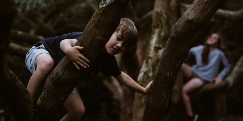 Planning Family Friendly Events At Outdoor Uk Attractions Made Simple
