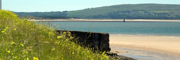 Things To Do In Llanelli