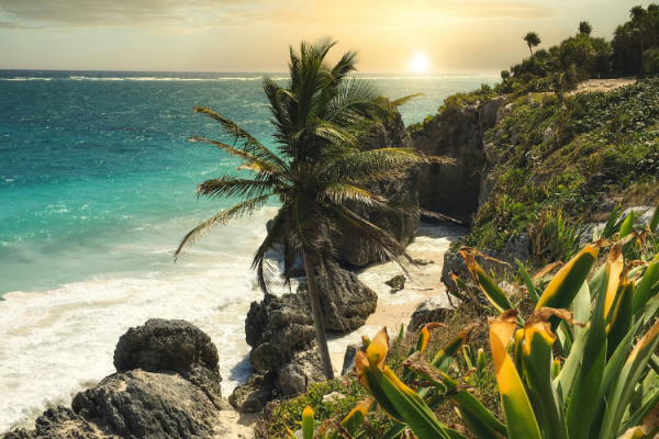 Experience Adventure, Nature, And Luxury At Hotel Xcaret México