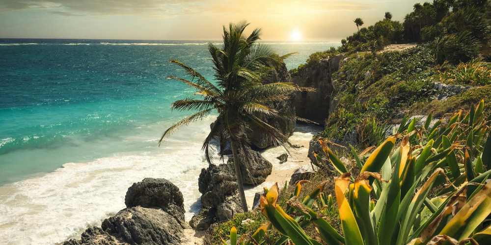 Experience Adventure, Nature, And Luxury At Hotel Xcaret México