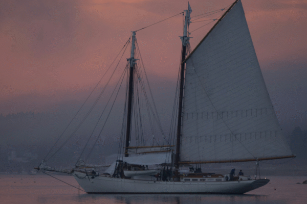 A Perfect Day Out In Hamble