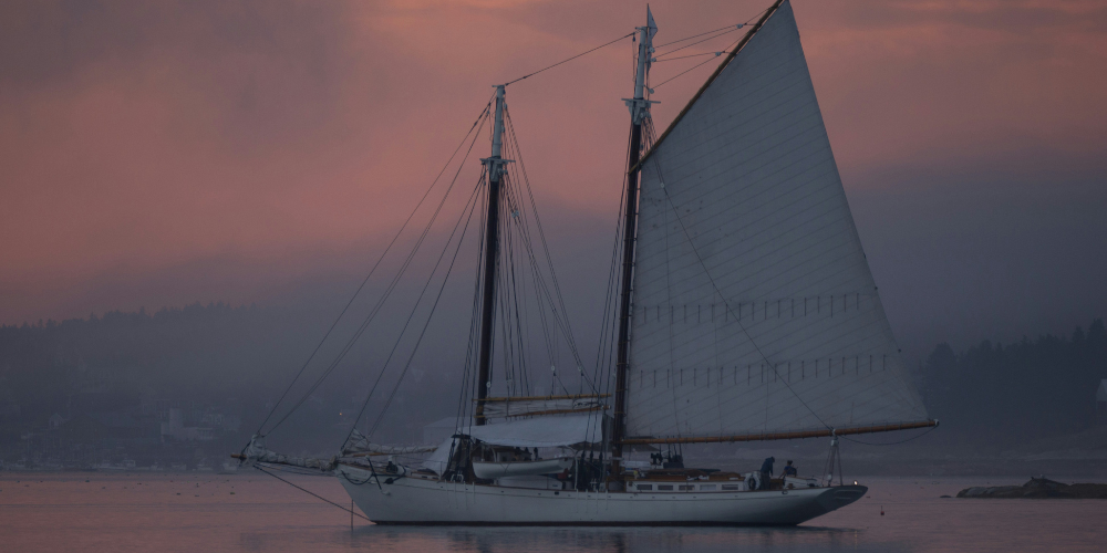 A Perfect Day Out In Hamble