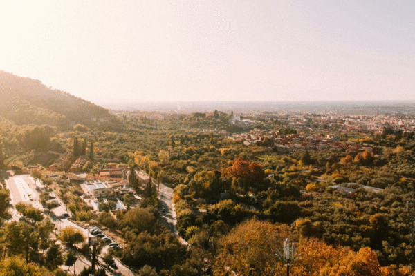 Travel With Your Nose 5 Niche Perfumes To Try