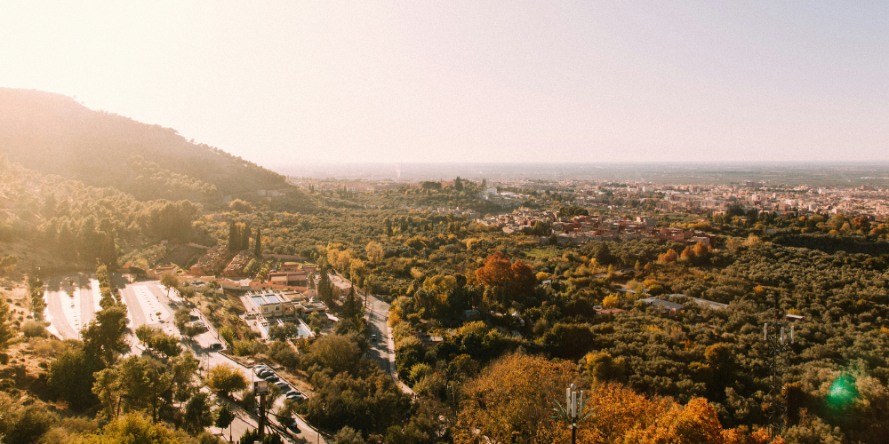 Travel With Your Nose 5 Niche Perfumes To Try