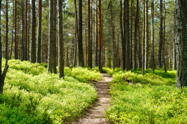 Fun Ideas For Events In 2026