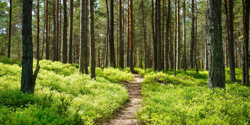 Fun Ideas For Events In 2026